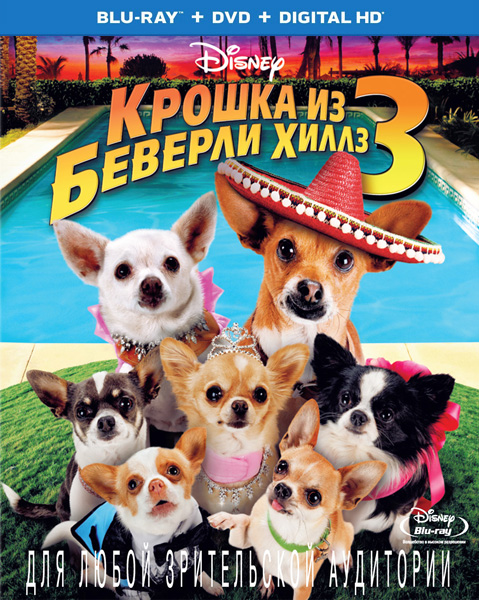   - 3 / Beverly Hills Chihuahua 3: Viva La Fiesta! (2012) BDRip 720p, 1080p, Blu-Ray CEE