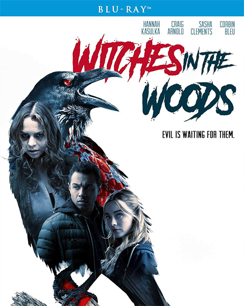   / Witches in the Woods (2019) BDRip 720p, 1080p, BD-Remux