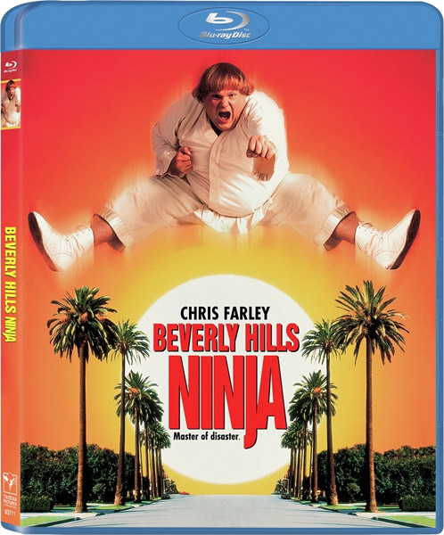     / Beverly Hills Ninja (1997) BDRip 720p, 1080p, BD-Remux