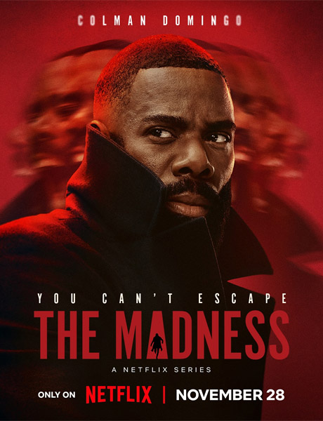  / The Madness (2024) (: 1-8  8) WEB-DL 1080p