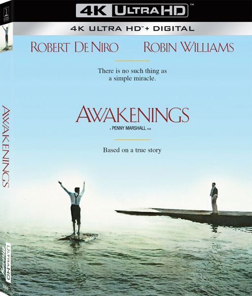 Пробуждение / Awakenings (1990) 4K HDR BD-Remux + Dolby Vision Пробуждение / Awakenings (1990) 4K HDR BD-Remux + Dolby Vision