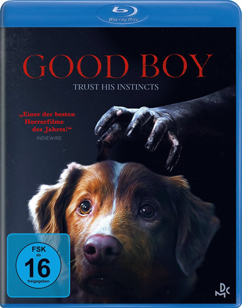 Глазами пса / Good Boy (2025) BDRip 720p, 1080p, 4K HDR WEB-DL 2160p + Dolby Vision