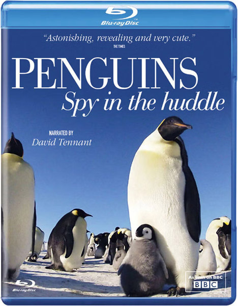��������: ����� � ����� / ��������. ����� ��� ���������� / Penguins: Spy in the Huddle (2013) BDRip 1080p, BD-Remux
