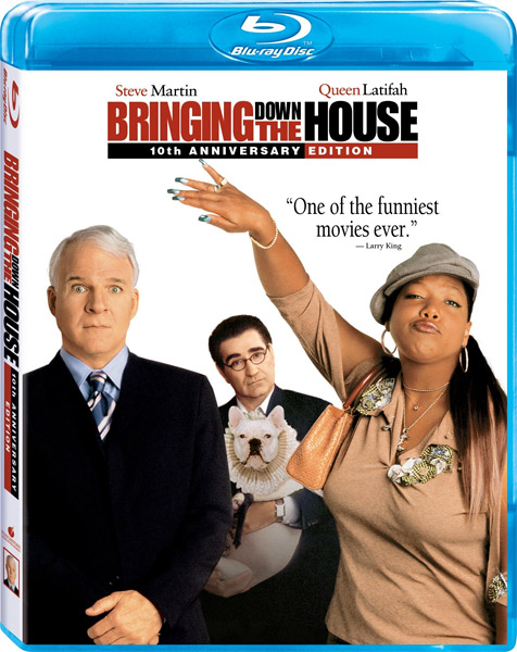 ��� ����� ���� / Bringing Down the House (2003) BDRip 720p, 1080p, BD-Remux