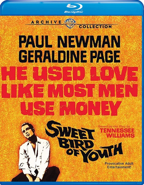 ������������� ����� ������ / Sweet Bird of Youth (1962) BDRip 720p, 1080p, BD-Remux