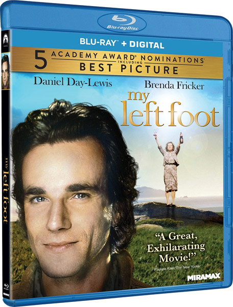 Моя левая нога / My Left Foot: The Story of Christy Brown (1989) BDRip 720p, 1080p, BD-Remux Моя левая нога / My Left Foot: The Story of Christy Brown (1989) BDRip 720p, 1080p, BD-Remux
