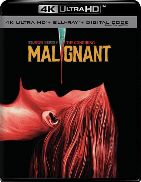 Злое / Malignant (2021) 4K HDR BD-Remux + Dolby Vision