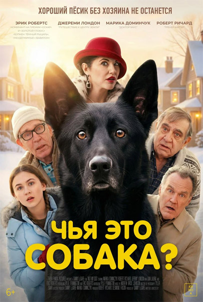 ��� ��� ������? / Not My Dog (2025) WEB-DL 1080p