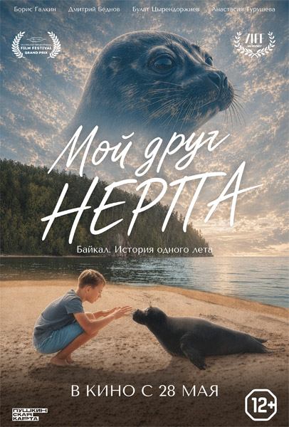 Мой друг нерпа (2025) WEB-DL 1080p Мой друг нерпа (2025) WEB-DL 1080p