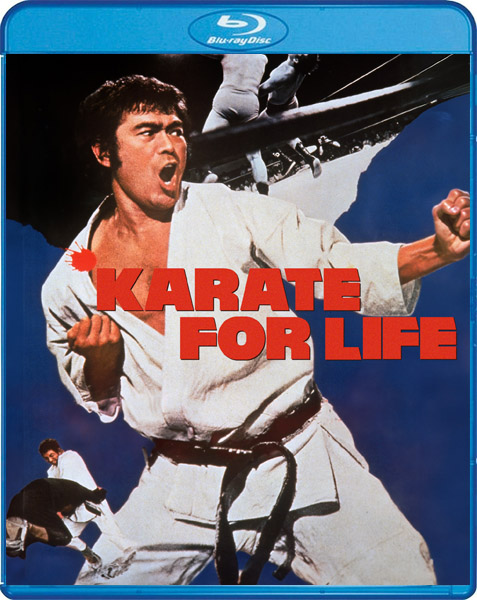 ���������� �� ����������� 3 / Karate for Life / Karate baka ichidai (1977) BDRip 720p, 1080p, BD-Remux